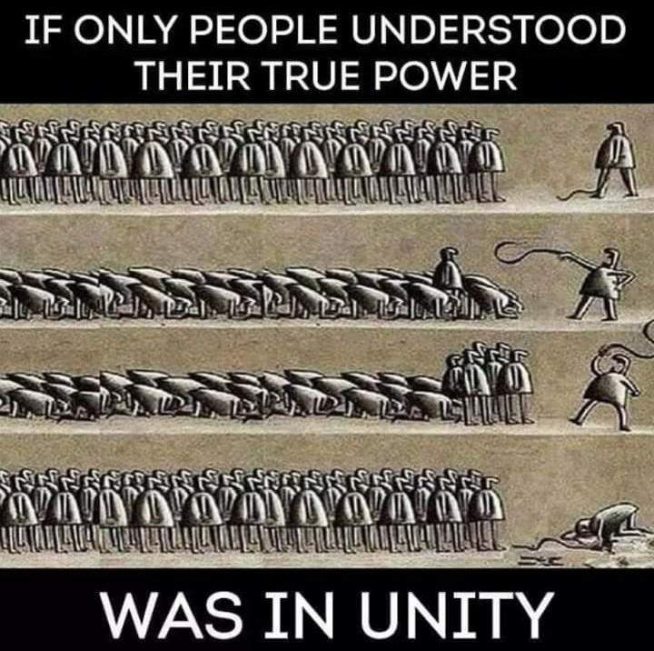 Unity Wins!
